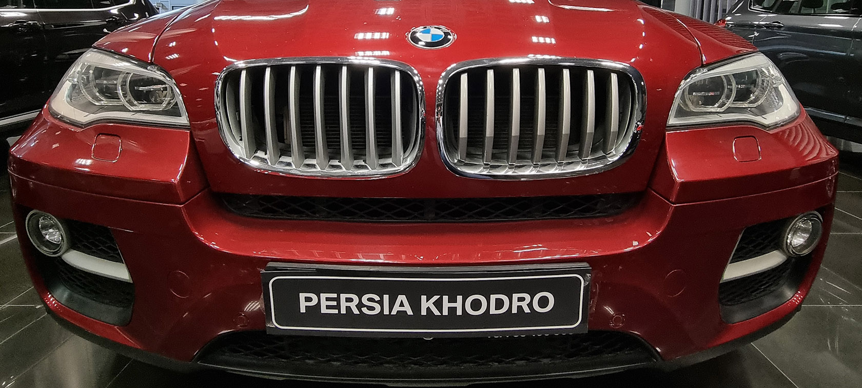 BMW Kidney Grille