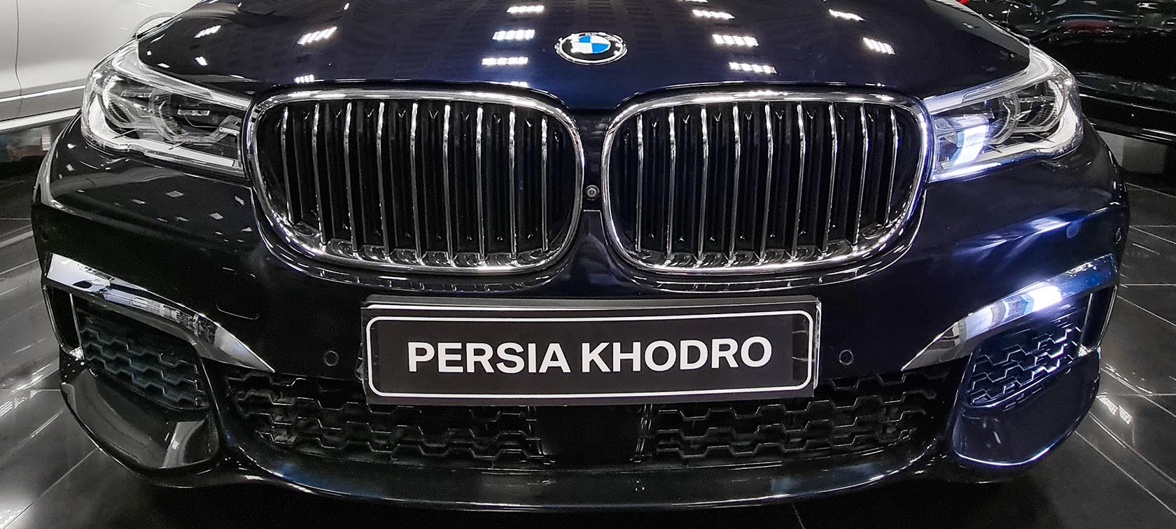 BMW Kidney Grille