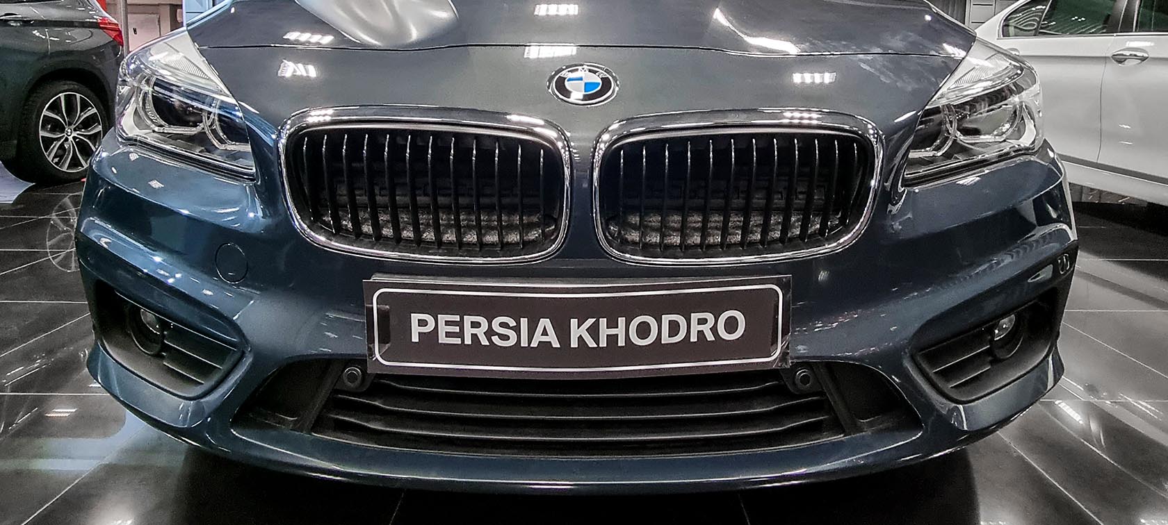 BMW Kidney Grille